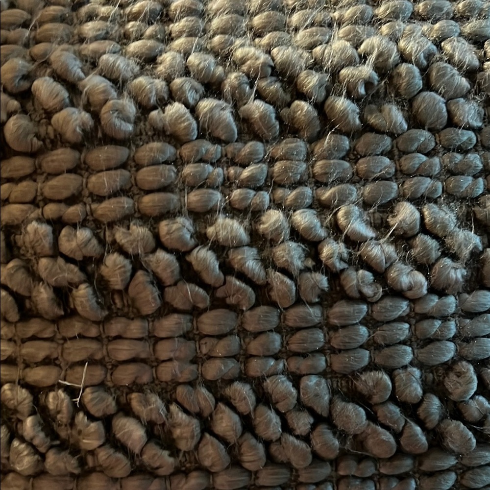 New Mina Victory  By Nourison Pillow $80 NWT